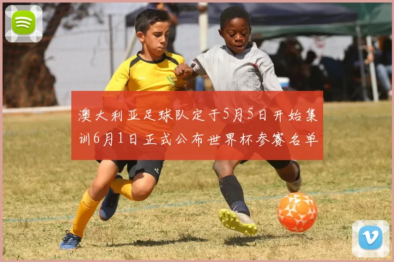 澳大利亚足球队定于5月5日开始集训6月1日正式公布世界杯参赛名单