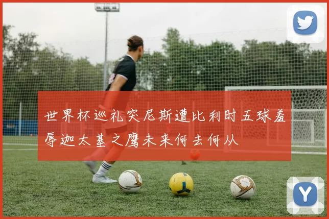 世界杯巡礼突尼斯遭比利时五球羞辱迦太基之鹰未来何去何从